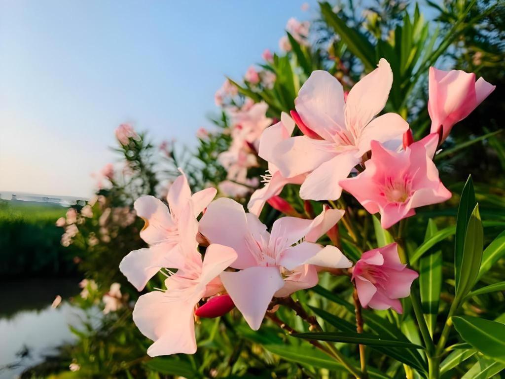 טאק Pingview Villa Resort מראה חיצוני תמונה